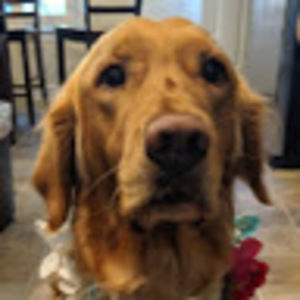 Meet your Posher, Joyce